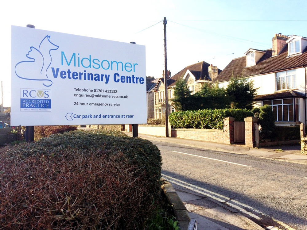 about-the-vet-practice-midsomer-vets-vet-in-midsomer-norton-gallery-1