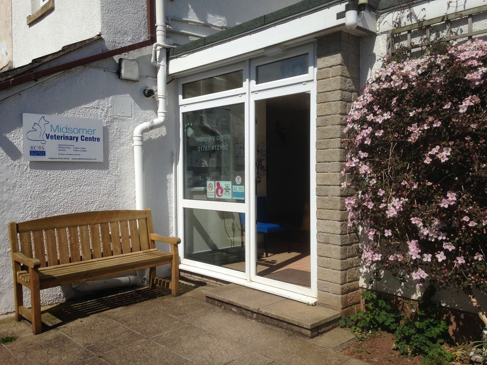 about-the-vet-practice-midsomer-vets-vet-in-midsomer-norton-gallery-2