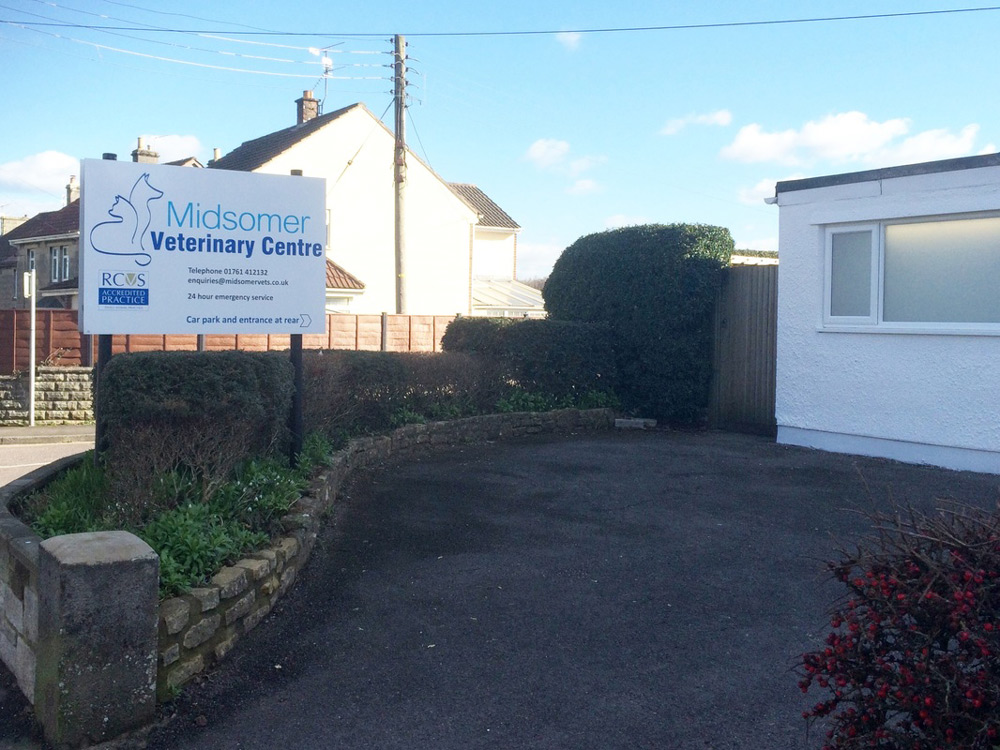 about-the-vet-practice-midsomer-vets-vet-in-midsomer-norton-gallery-4