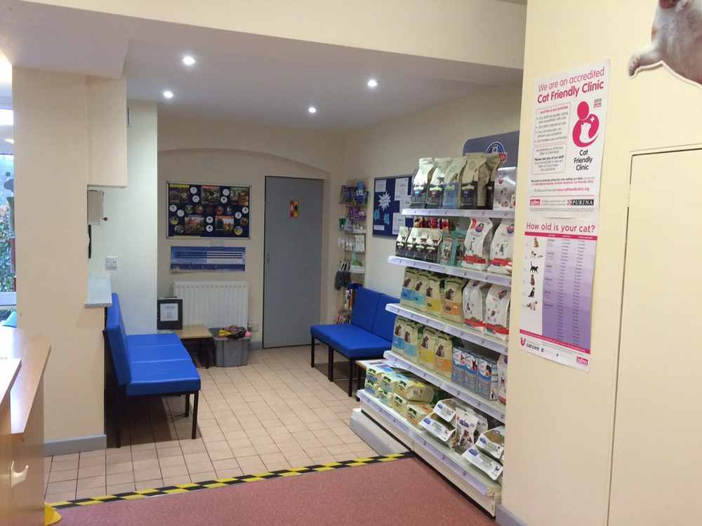 about-the-vet-practice-midsomer-vets-vet-in-midsomer-norton-gallery-5