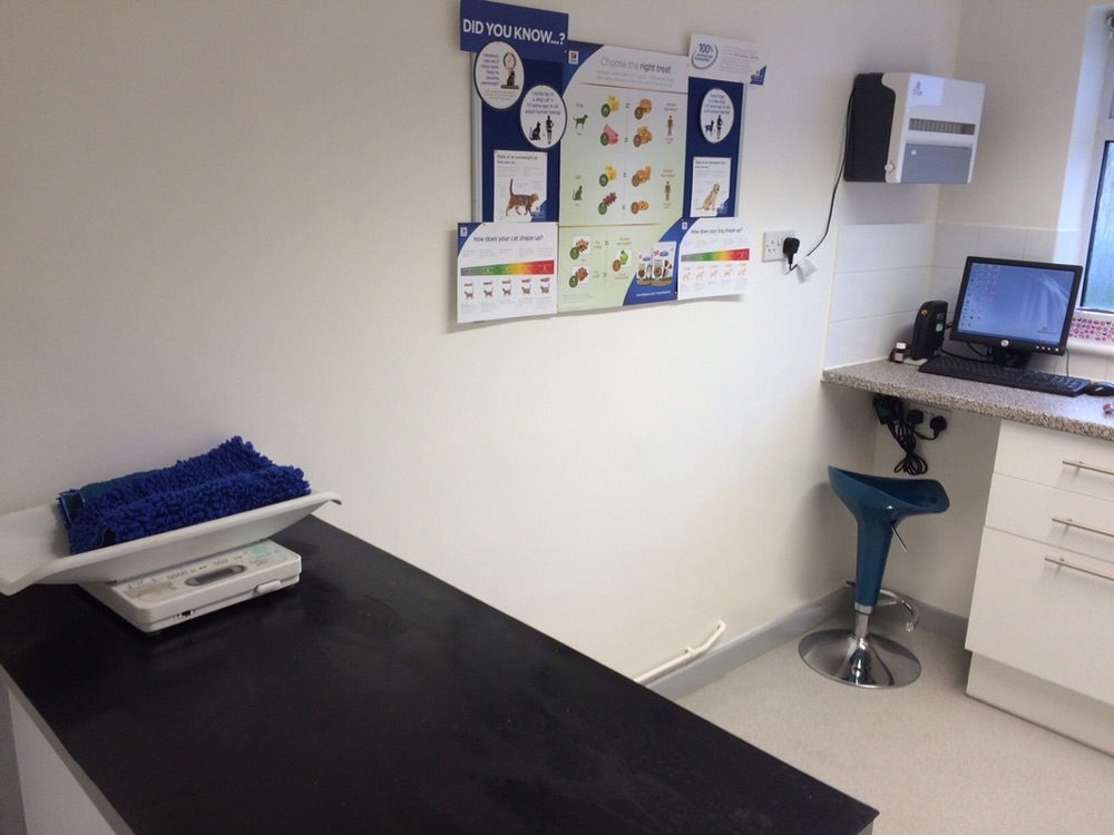 about-the-vet-practice-midsomer-vets-vet-in-midsomer-norton-gallery-7