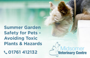 Midsomer Vets - Summer Garden Safety for Pets