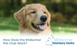 How does the Midsomer Pet Club Work | Midsomer Vets