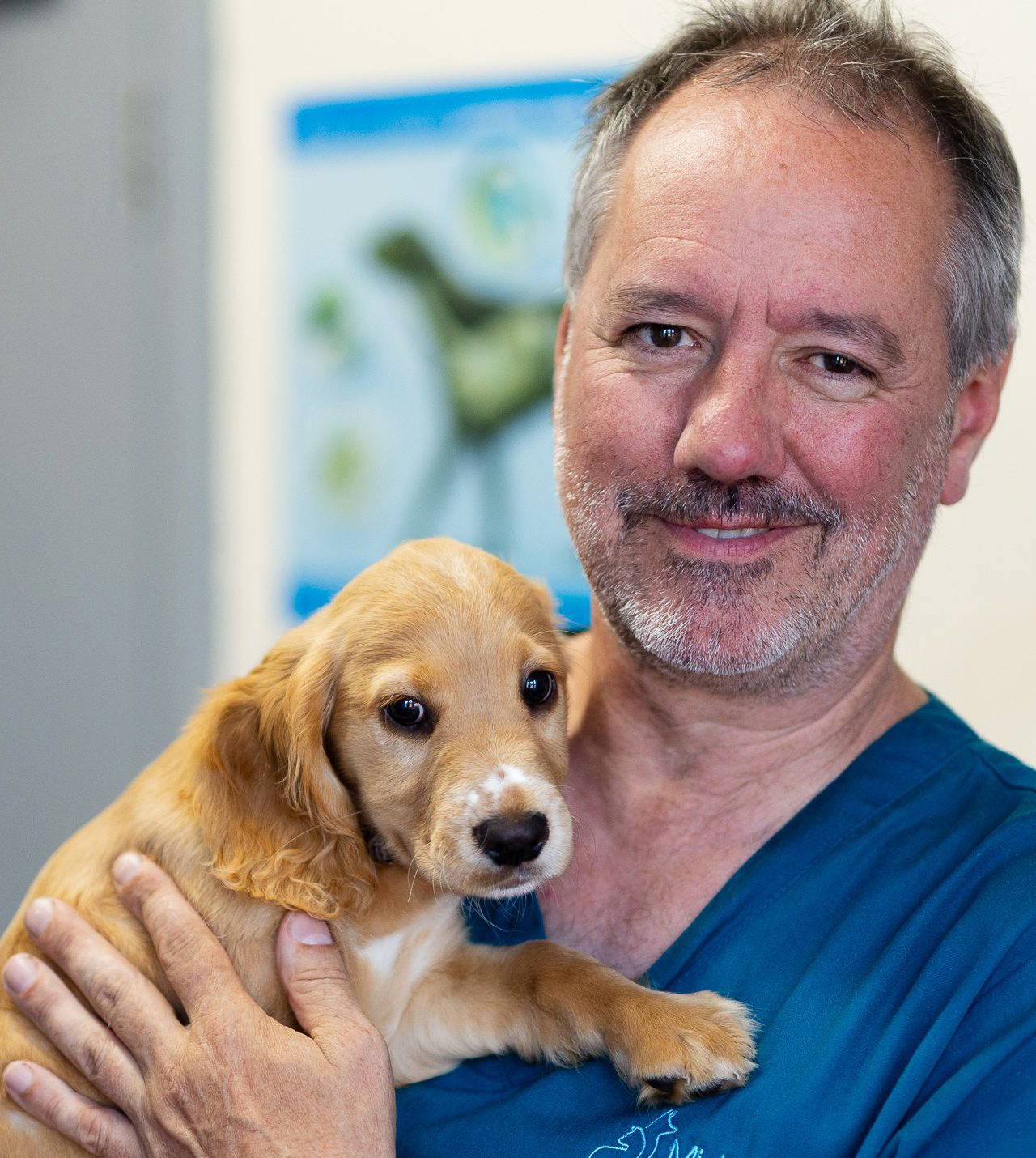 Vranch_Visuals_Midsomer_Veterinary_Centre_1116-WEB-2