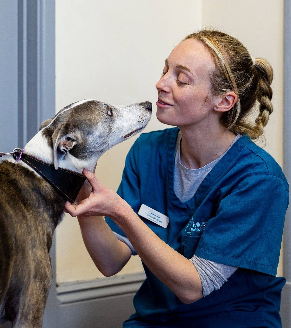 Vranch_Visuals_Midsomer_Veterinary_Centre_352-WEB