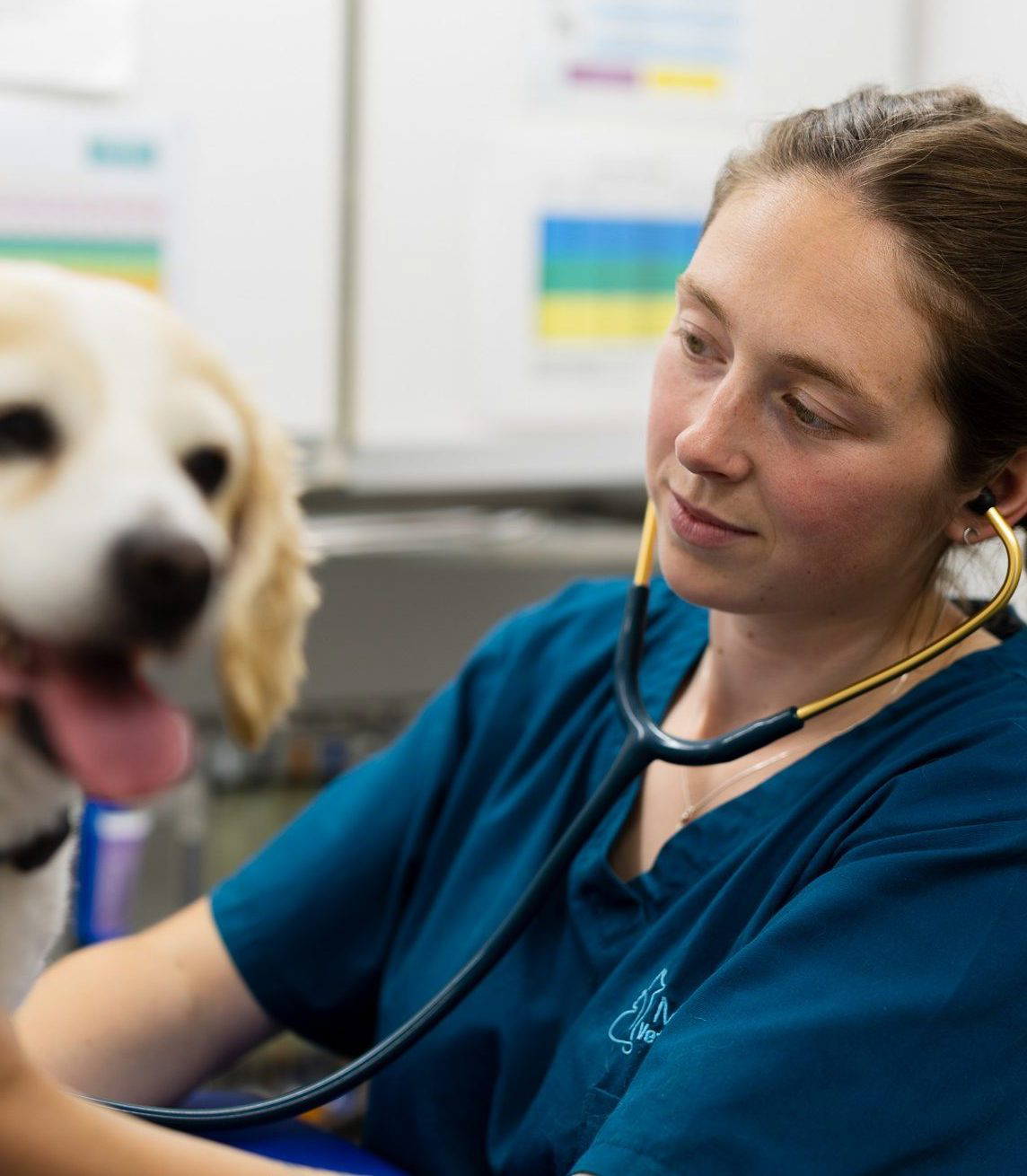 Vranch_Visuals_Midsomer_Veterinary_Centre_612-WEB