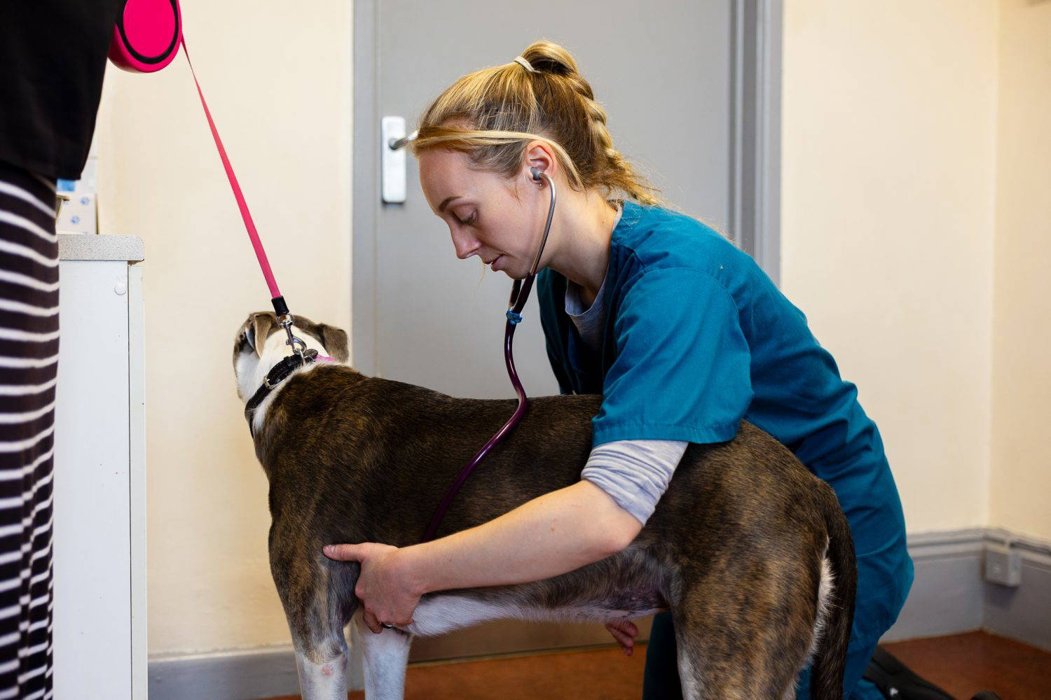 Vranch_Visuals_Midsomer_Veterinary_Centre_358-WEB