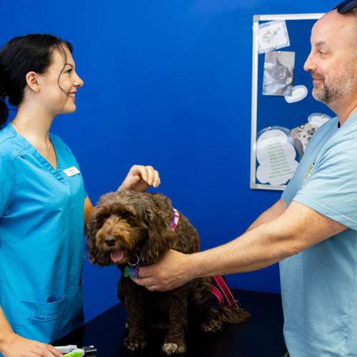 Vranch_Visuals_Midsomer_Veterinary_Centre_486-WEB